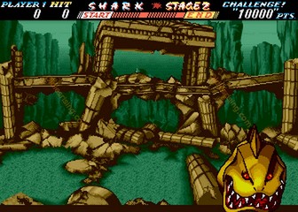 image de The First Funky Fighter